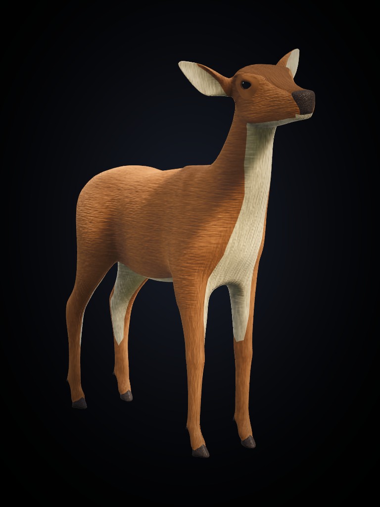 Deer