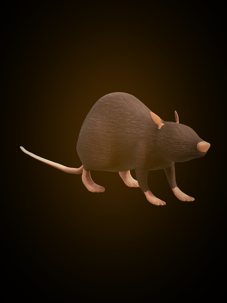Rat King